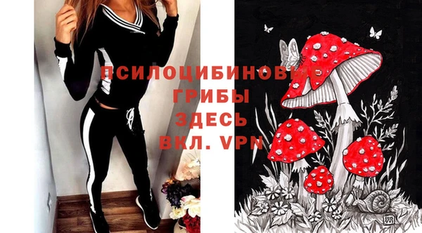 герыч Арсеньев