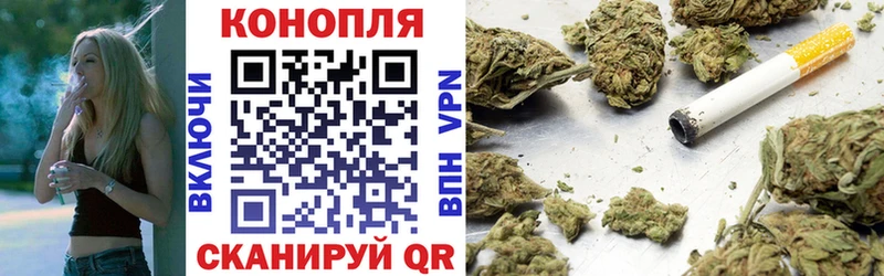 Бошки марихуана OG Kush  закладка  Чудово 